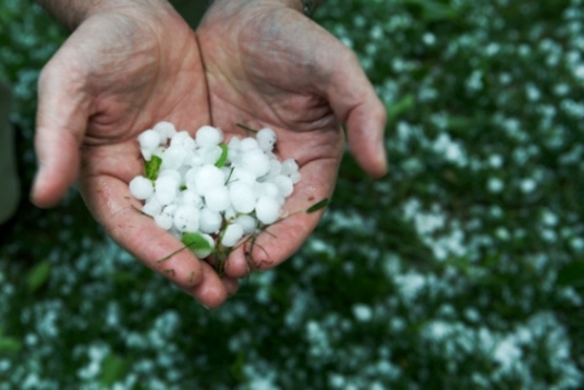 Agricoltura martoriata: dopo la pioggia ieri anche la grandine