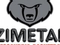 Immagine Zimetal Alessandria sale in serie B Immagine Zimetal Alessandria sale in serie B