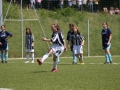 Piccole grigionere crescono…