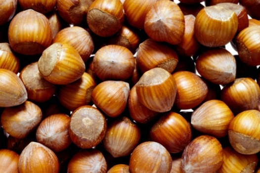 Appuntamento ultracentenario con la Fiera della Nocciola