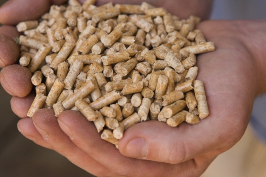 Pellet a buon mercato ma era una truffa. La Polstrada di Ovada scopre i truffatori