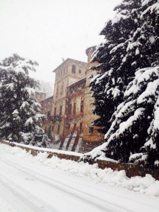 LA NEVICATA DEL 30 GENNAIO NELLE VOSTRE IMMAGINI