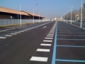Troppi parcheggi a pagamento ad Alessandria. Petizione popolare per ridurli almeno vicino alla stazione