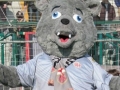 Battezza anche tu la nuova mascotte dei grigi!