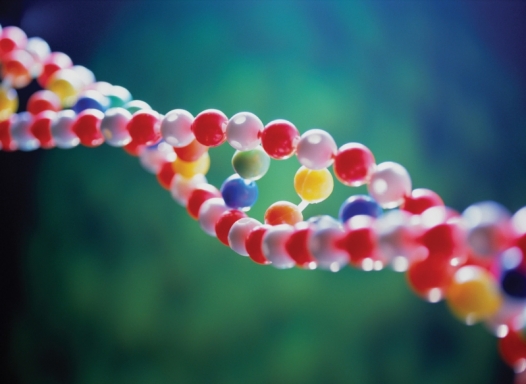 A Novi il convegno nazionale di bioetica