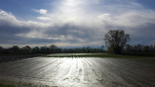 La primavera nelle campagne della provincia [FOTO]