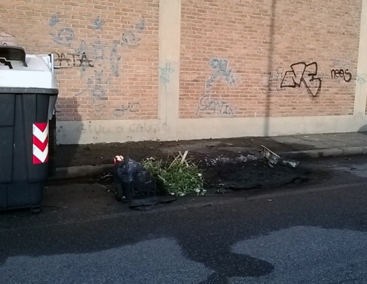 Gli incendi ai cassonetti allarmano i cittadini