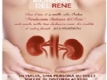 Giornata Mondiale del Rene: mercoledì medici e infermieri dell?ASL AL a disposizione di casalesi e novesi