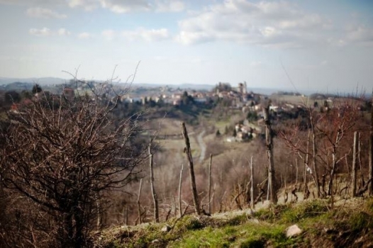 ‘E’ ora di Ovada’, il Dolcetto è pronto a conquistare i mercati