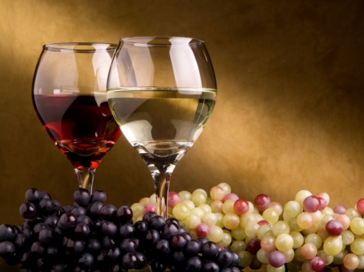 Cantine Aperte 2014… le cantine del Piemonte aprono le porte