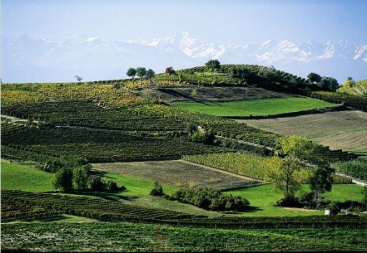 ‘Riconoscimento Unesco pubblicità mondiale ma i primi testimonial siano i cittadini’. I consigli dalle Dolomiti
