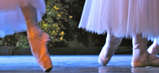 La danza e la Shoah al festival di Vignale