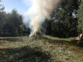 Combustione materiale agricolo: nuove regole nel Comune di Alessandria