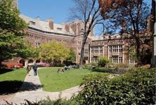 La lettera dei sindaci per revocare la laurea honoris causa a Schmidheiny ripresa dal giornale di New Haven