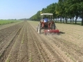 Alla guida di un trattore senza patente: denunciato agricoltore di Vignale