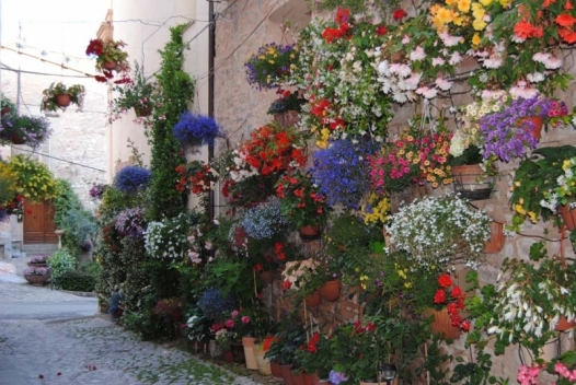 Comuni fioriti a Coniolo, Conzano e Fubine