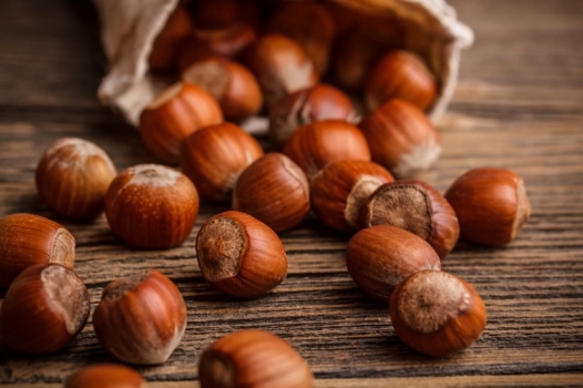 A Castagnole va in scena la 155° fiera della nocciola