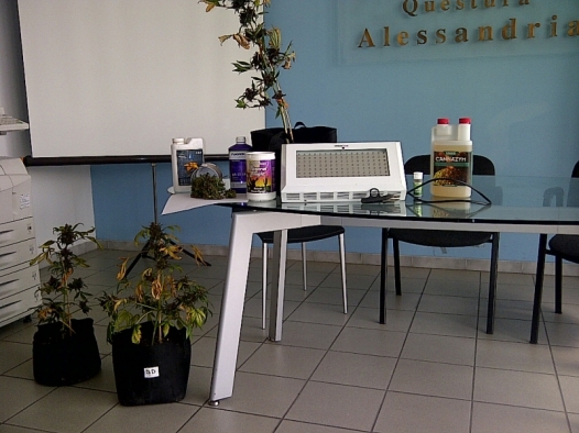 Coltivava marijuana nel suo appartamento: arrestato un 37enne di Alessandra