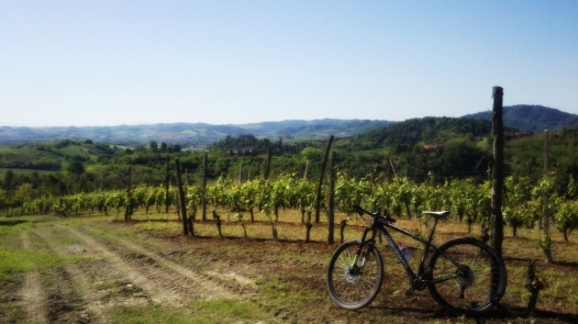 Il Monferrato brinda all’Unesco