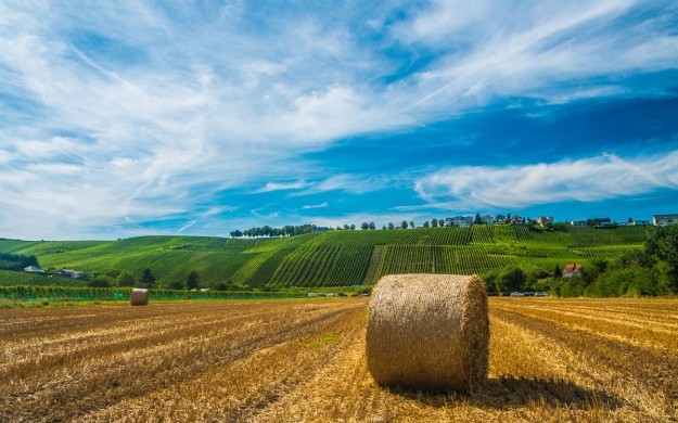 Roma intrigata dai paesaggi del Monferrato. Titti Palazzetti: messe le basi per valorizzare il territorio