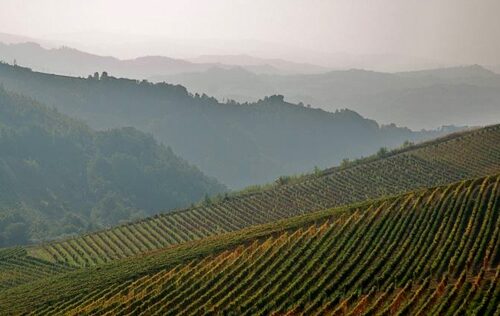 Il paesaggio e la vita del monferrato casalese in un workshop