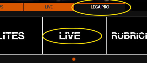 Istruzioni widget