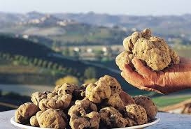 Sapori, gusti e profumi a Montaldo Bormida