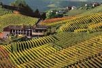 Turisti americani stregati dalle colline, dal cibo e dai krumiri