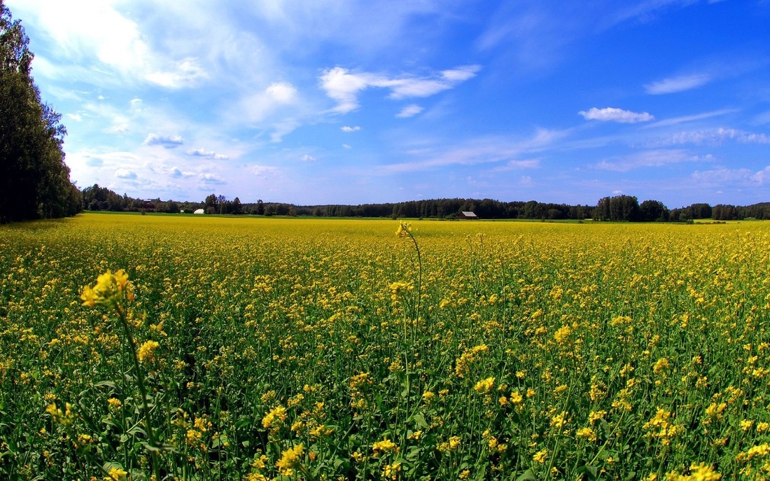 Il territorio alessandrino, miniera d’oro per i giovani imprenditori agricoli