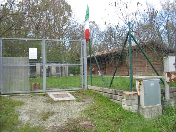 Al via la nuova gestione del canile sanitario di Valenza: ecco come verranno gestiti i servizi