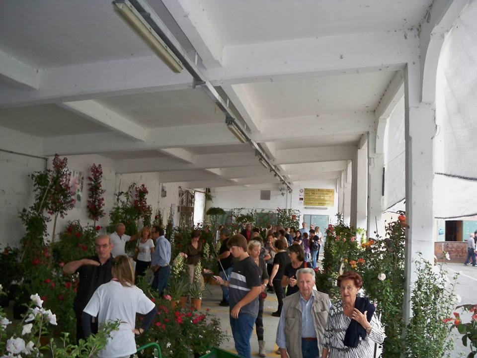 Fiori e natura al Mercato Pavia con Casale Monfleurs