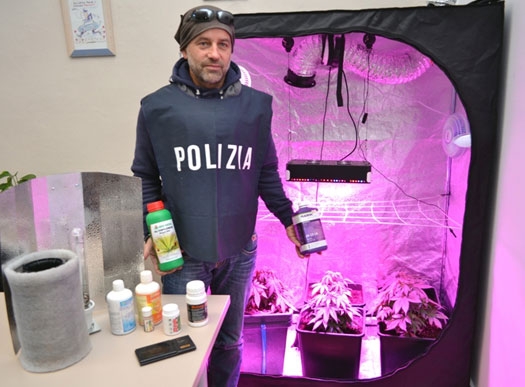 Un serra ultratecnologica per coltivare canapa indiana: denunciato giovane valenzano