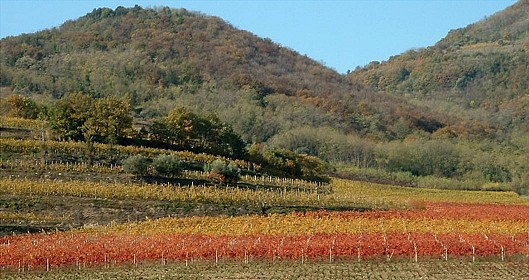 Colli e piane, tra fiere e mercatini