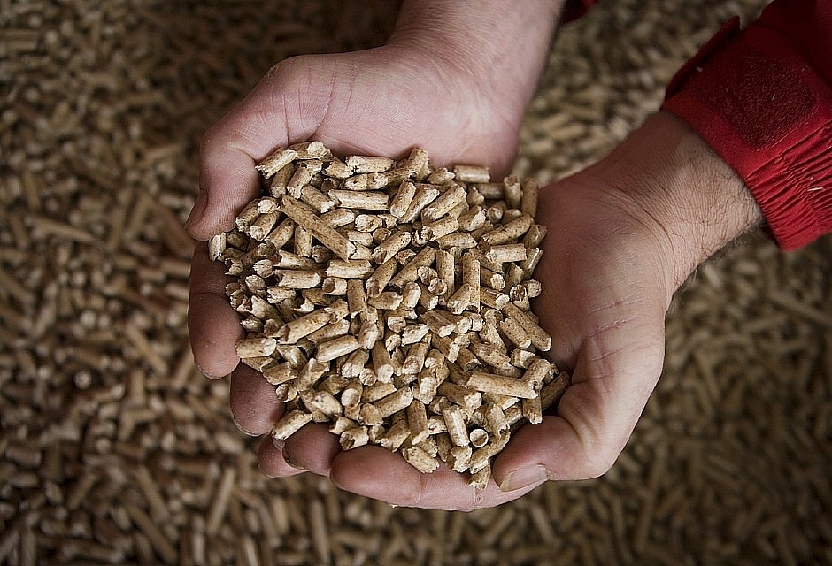 Un assegno scoperto per pagare 8.450 euro di pellet: denunciati in due