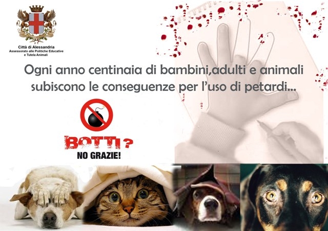 Alessandria: l’assessore Gotta invita a rinunciare ai botti di fine anno