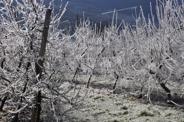 Spruzzate di neve e prime vere gelate anche in provincia