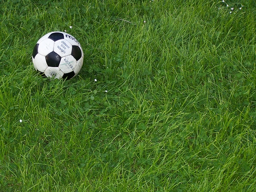 AICS: Canottieri Tanaro e Il Saraceno chiudono il 2014 al primo posto