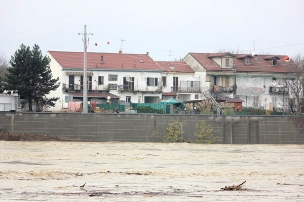 Il Tanaro ad Alessandria [FOTO]