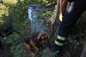 Scomparso da alcune ore, i soccorritori trovano 23enne impiccato a un albero