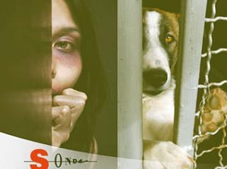 Le forme di violenza sugli umani e sugli animali nel saggio “Sulla cattiva strada”
