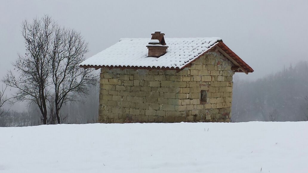 Il Monferrato innevato [FOTO]