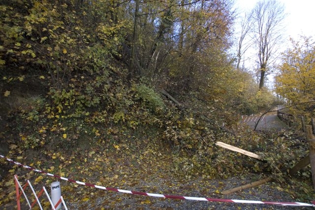 Sacro Monte di Crea: pronta la riqualificazione forestale e paesaggistica
