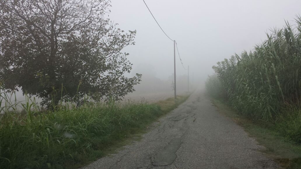 Se la nebbia non c’è più. A gennaio fenomeno ridotto al minimo