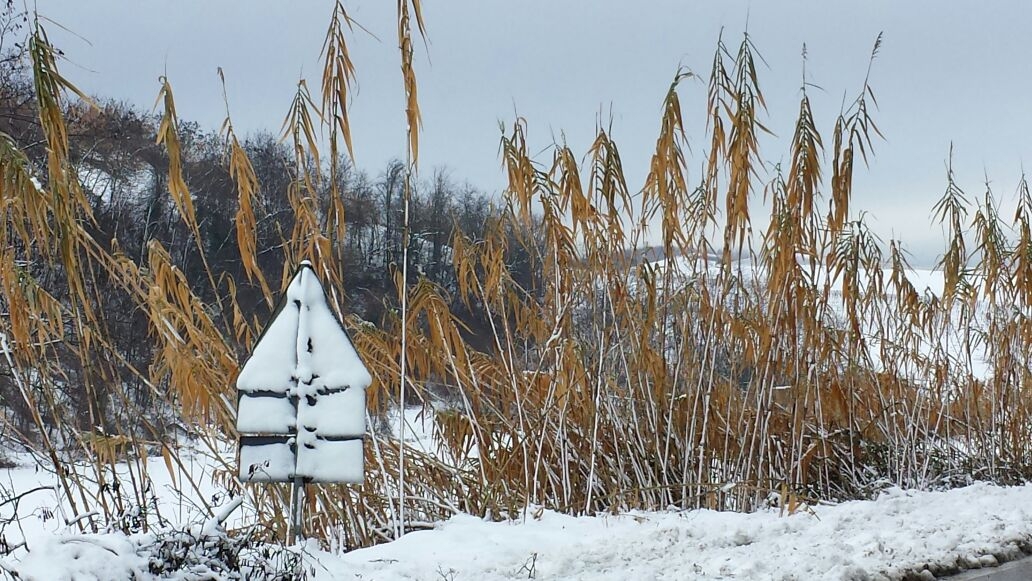 La neve in provincia [FOTO]