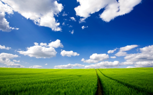 “Agricoltura 2.0”. Incontro ad Alessandria con Olivero, Castiglione e Guidi