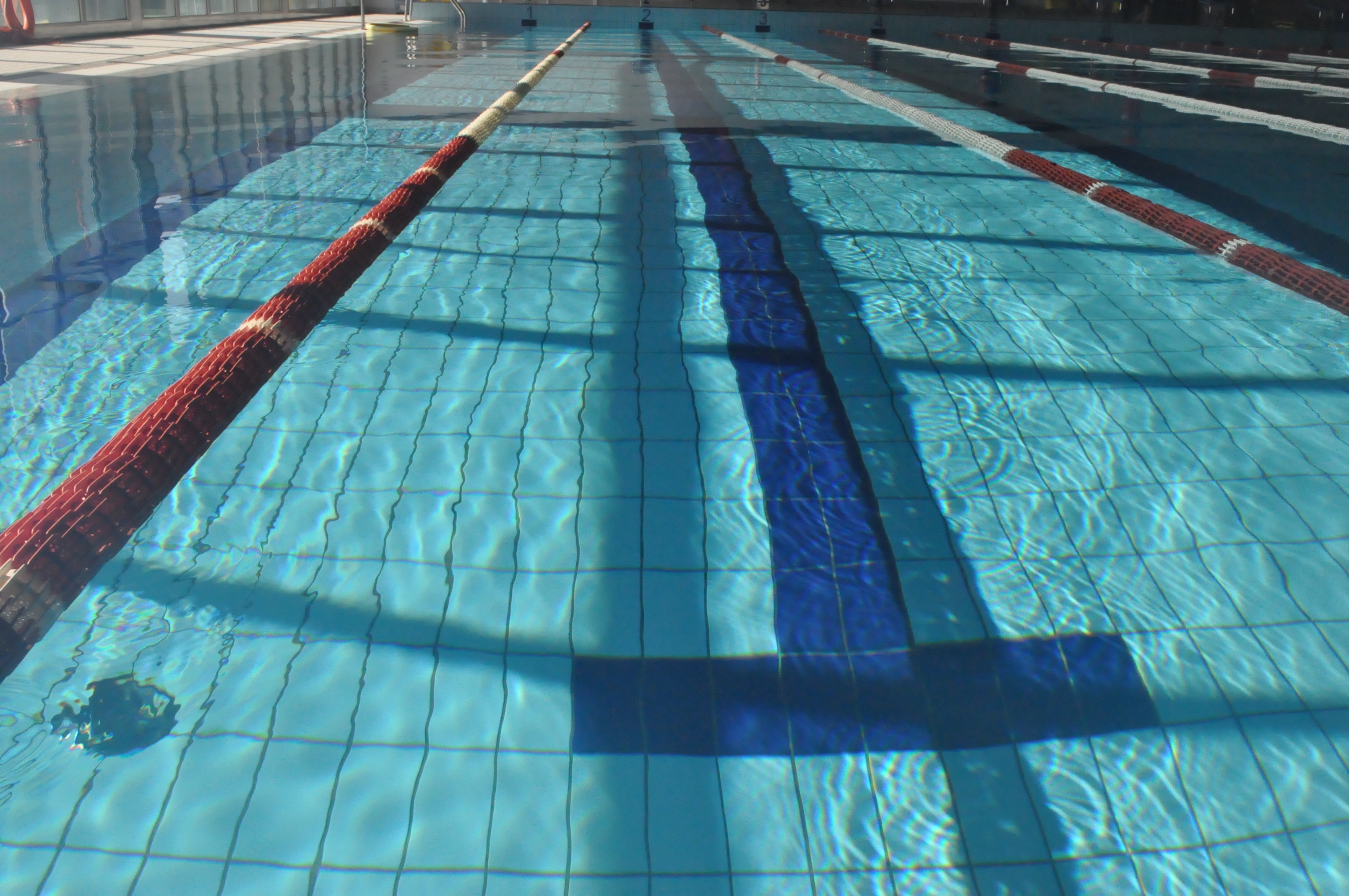 Nuoto: a Leinì quattro medaglie per il Bellavita Team