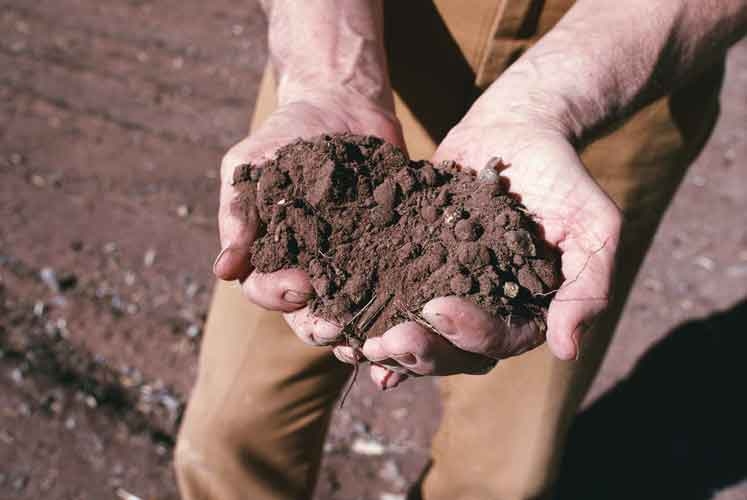 In Piemonte in aumento il numero di occupati nel settore agricolo: 1 su 3 è un giovane