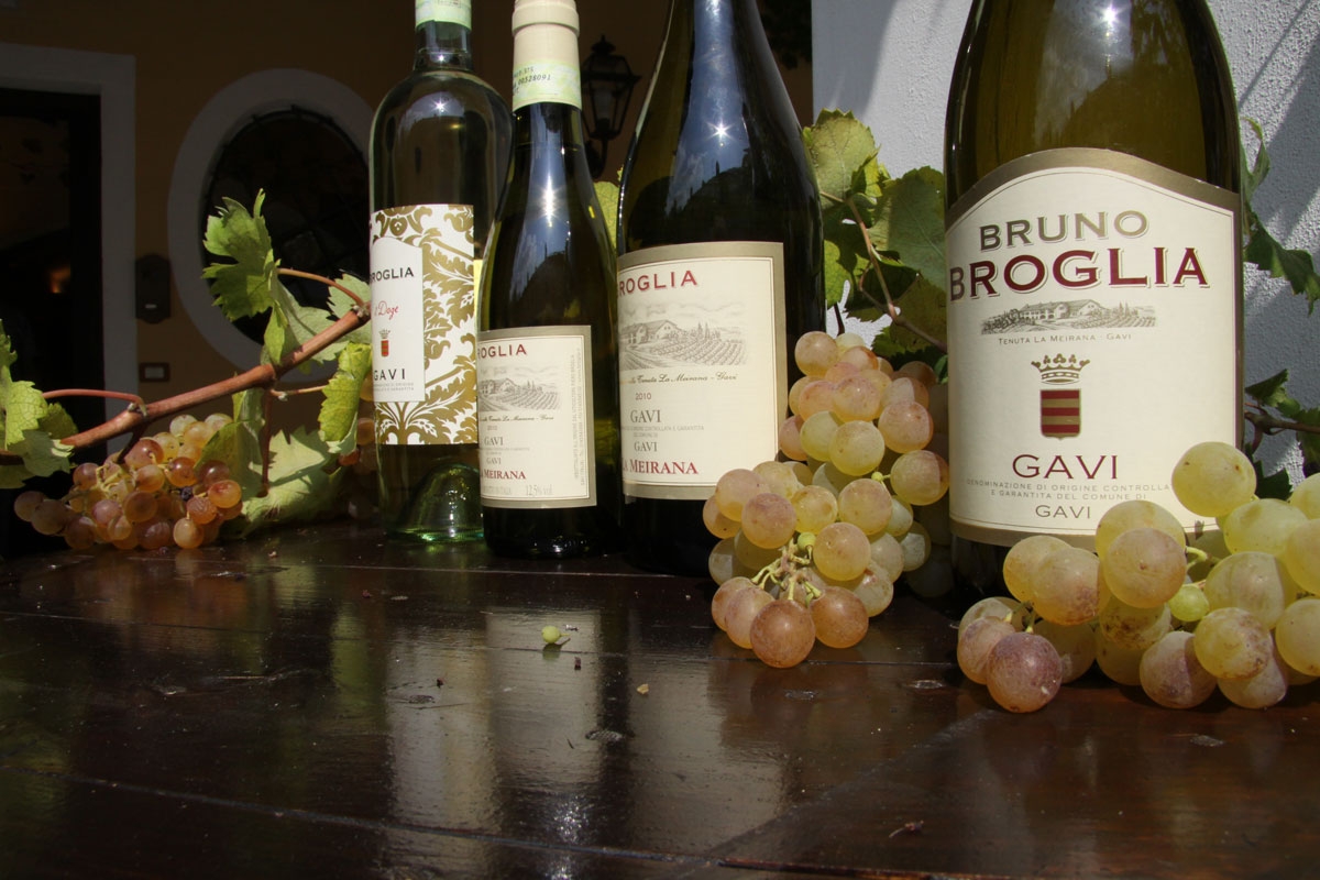 Alla scoperta del Gavi con Roberto Broglia [AUDIO]