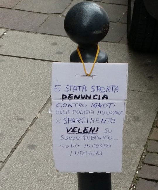 “Veleni” sul marciapiede ad Alessandria: cittadino presenta una denuncia