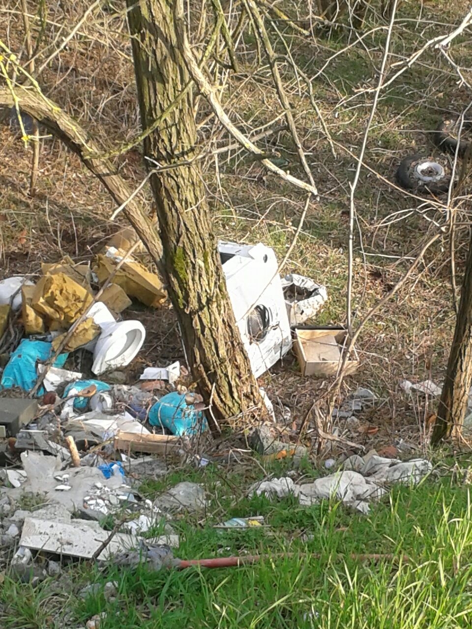 Spazzatura, mobili ed elettrodomestici deturpano l’oasi verde della Garzaia [FOTO]
